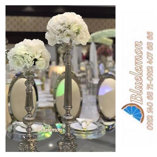  blue lemon wedding ceremony