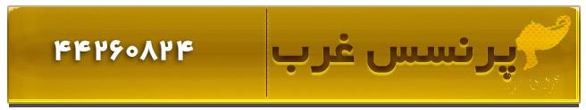 سالن زیبایی پرنسس غرب تهران سالن زیبایی و عروس سرای پرنسس غرب در تهران