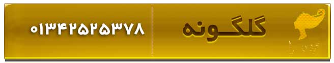 سالن زیبایی و آرایشگاه عروس گلگونه در لنگرود