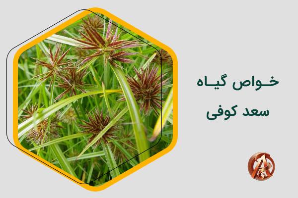 سعد کوفی راهنمای کامل و ایمن برای سلامت و زیبایی بانوان