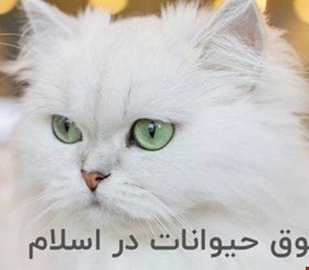 ترحم به حیوانات در اسلام: دیدگاه دینی، اخلاقی و فقهی