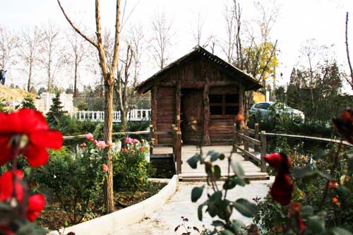  Hana rosha garden